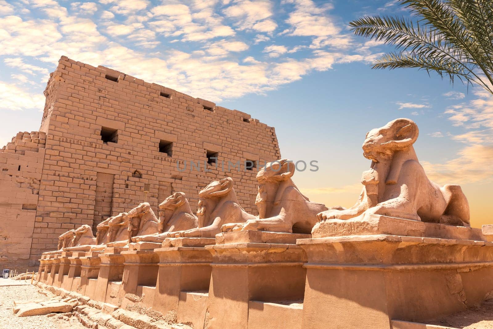 Karnak Temple, an avenue of human headed sphinxes, Luxor, Egypt.