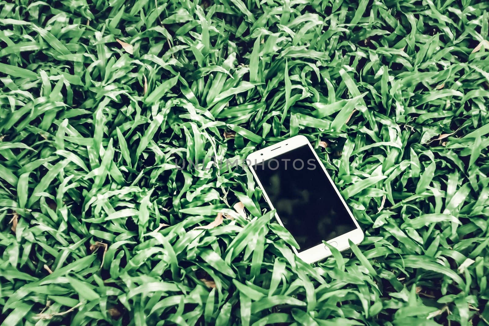 mobile cellphone  on green grass  .  working outdoors  everywhere lifestyle .make life easier with technology concept idea background .mock up for Coupon QR code on smart phone