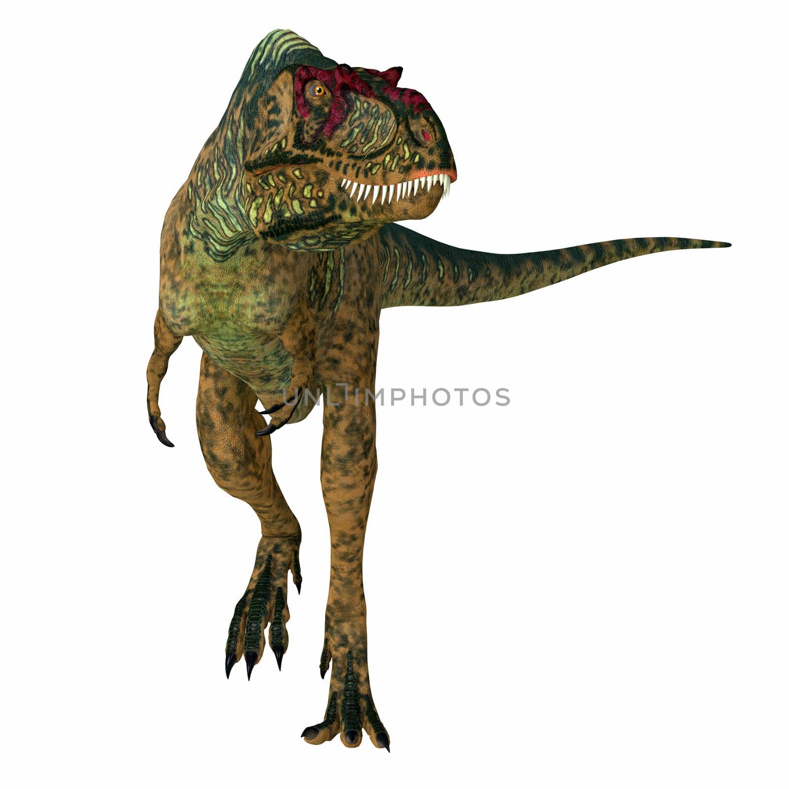 Albertosaurus was a carnivorous theropod dinosaur that lived in North America during the Cretaceous Period.