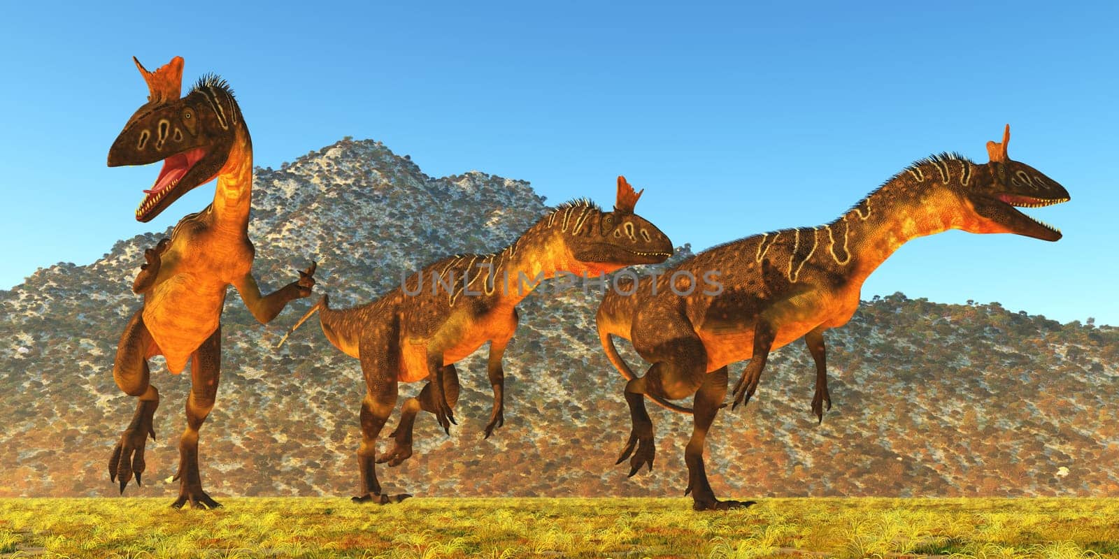 Cryolophosaurus dinosaurs hunt together for prey in Antarctica during the Jurassic Period.