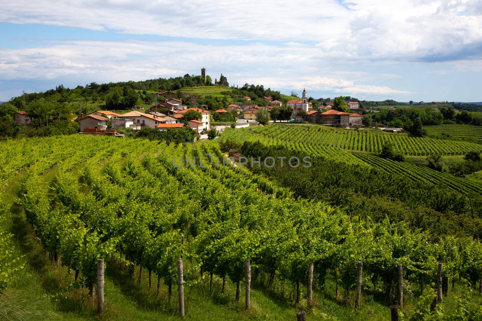 Smartno medieval village in Goriska Brda region, Slovenia.