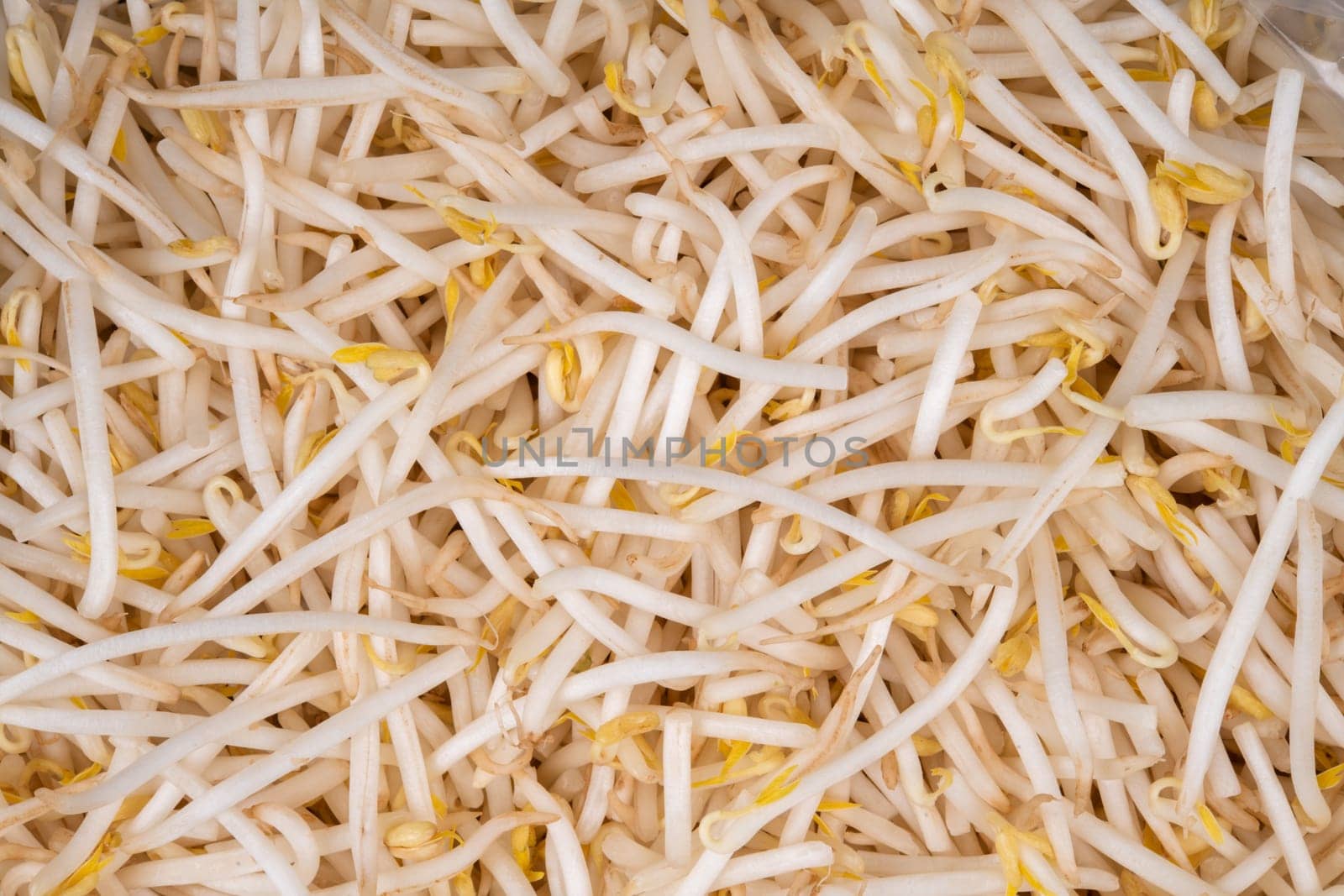 fresh and tasted soy and organic vegetables as a background