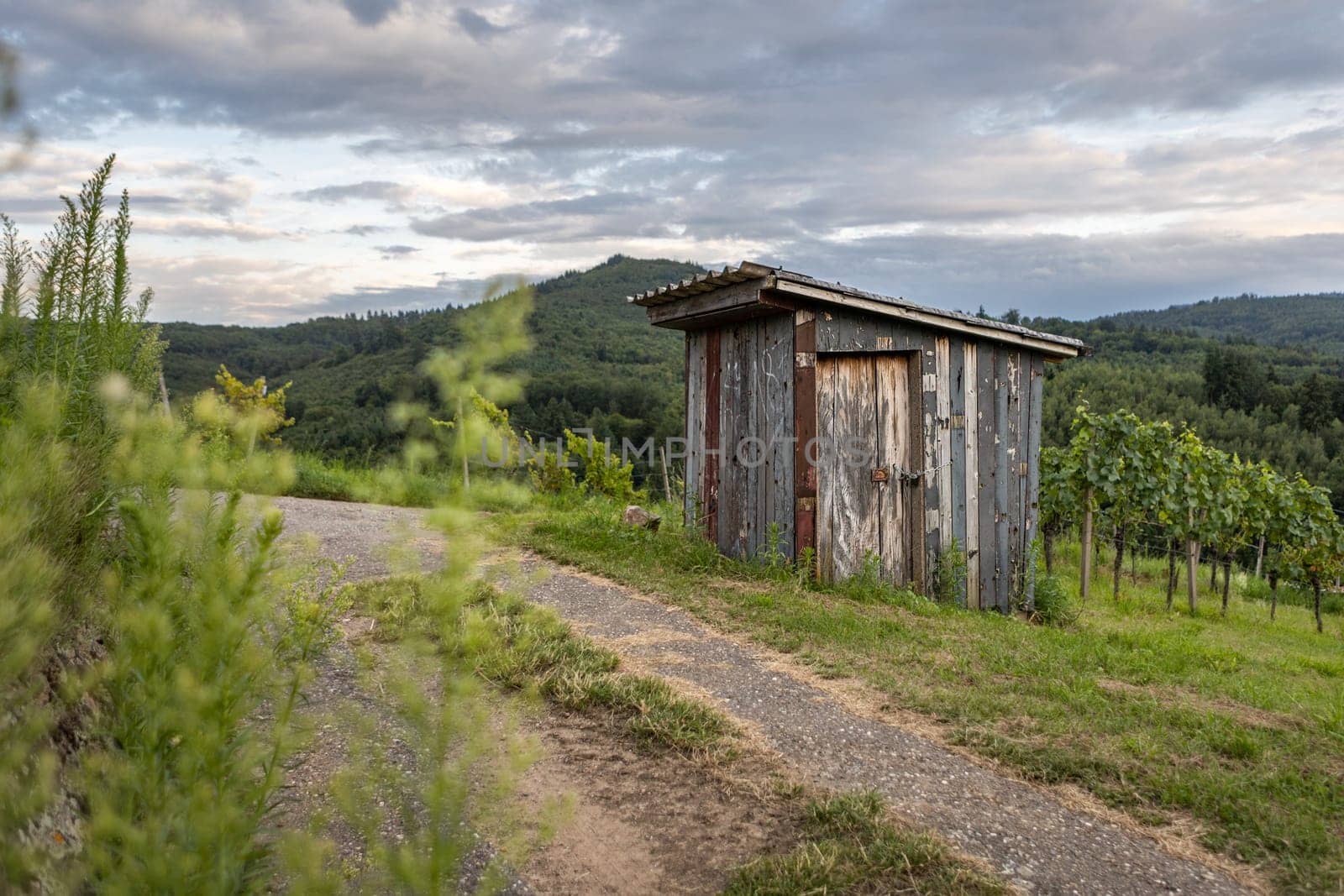 Holzhütte im Schwarzwald