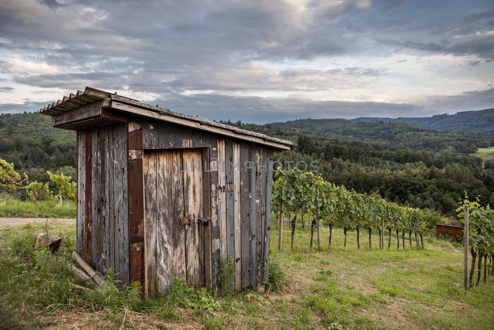 Rebhütte im Schwarzwald