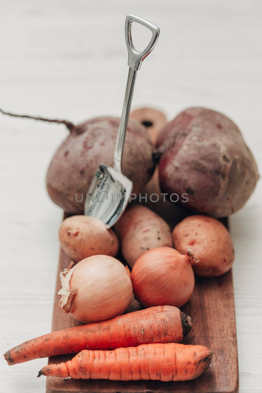 Fresh and Bright Vegetables Lie on the Kitchen Table.