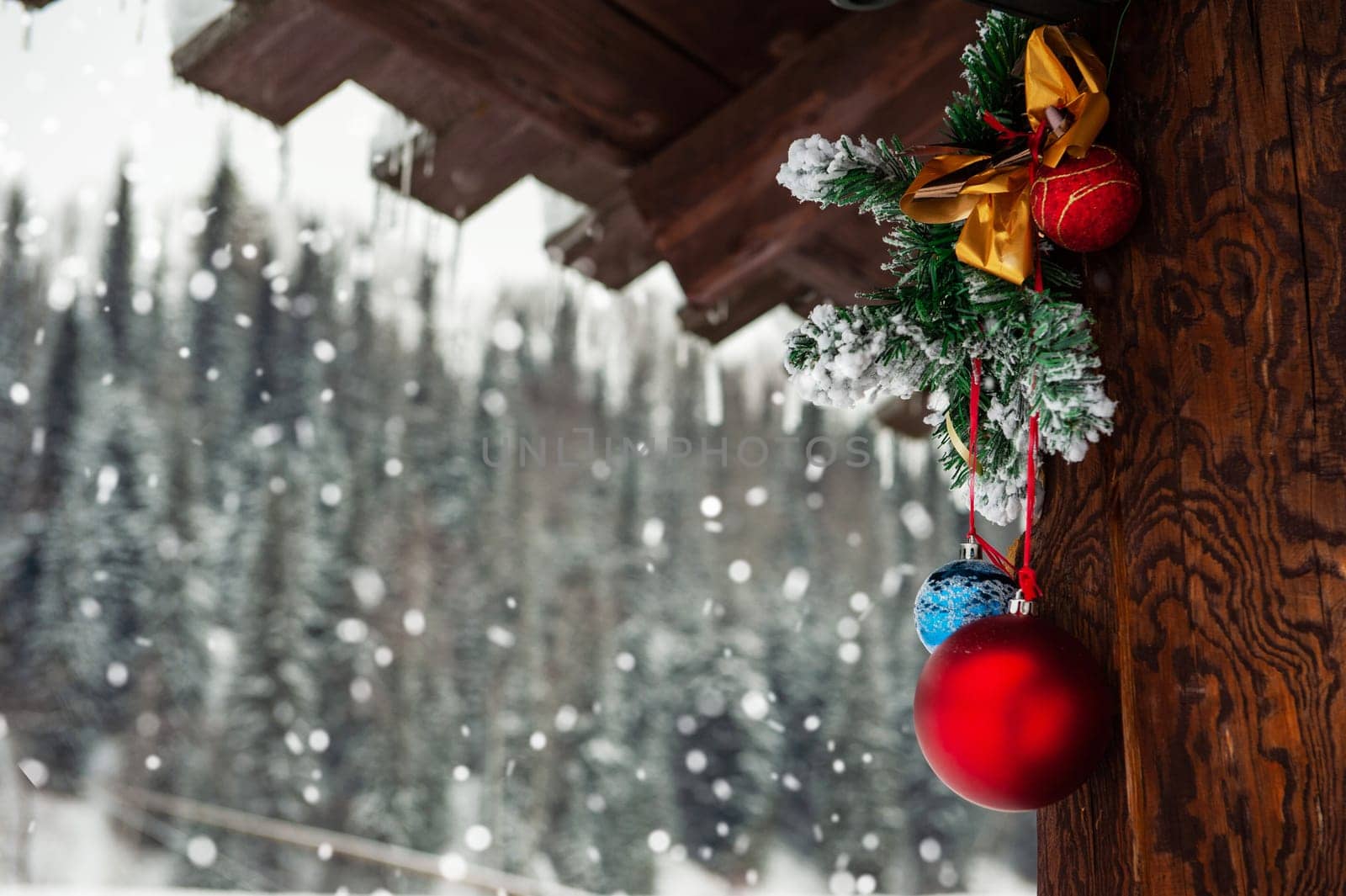 Ready for New year in pine forest