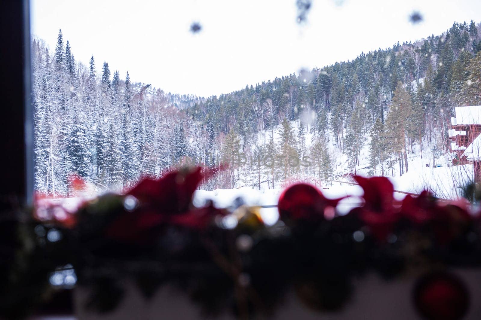 Ready for New year in pine forest
