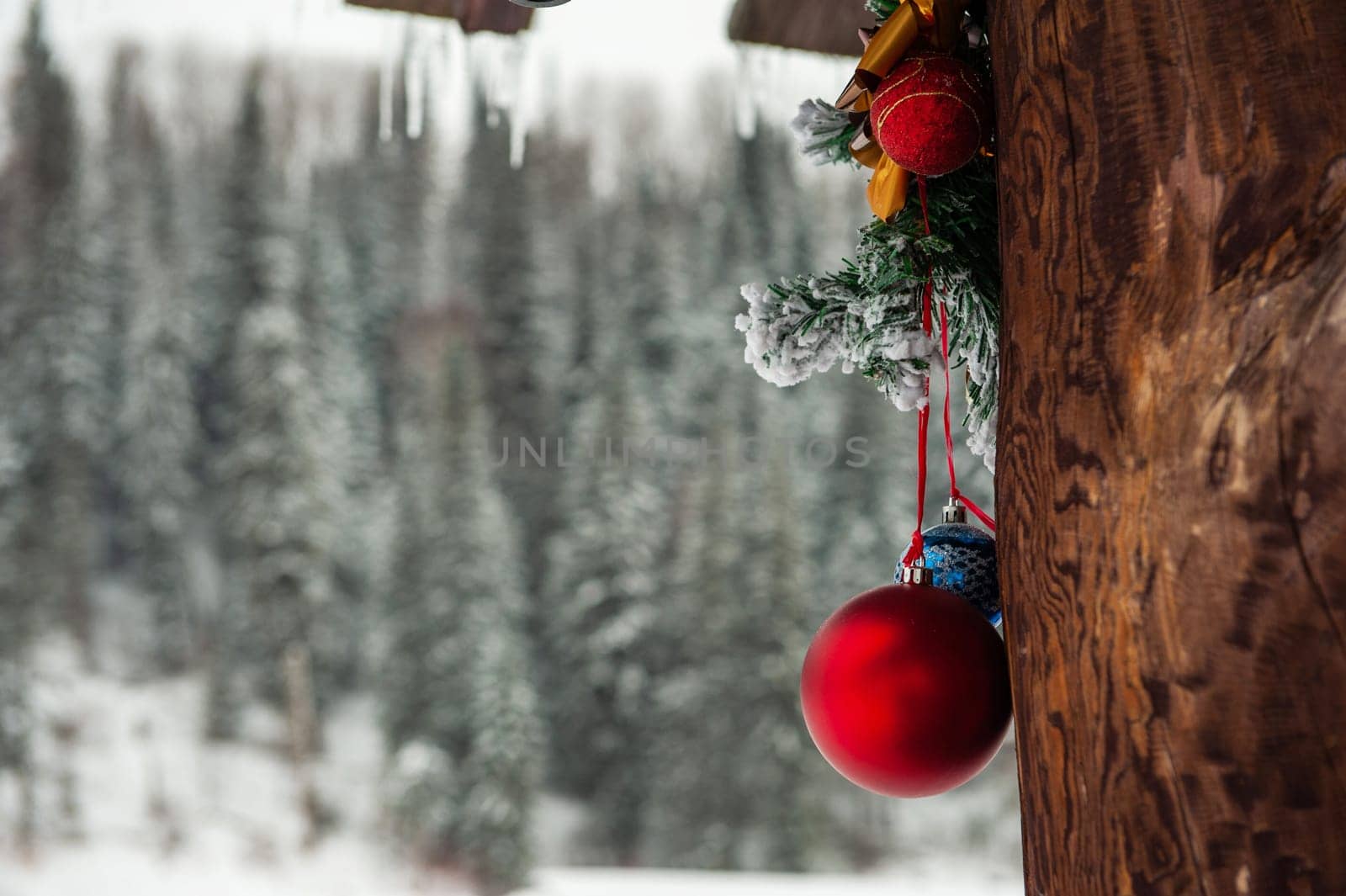 Ready for New year in pine forest