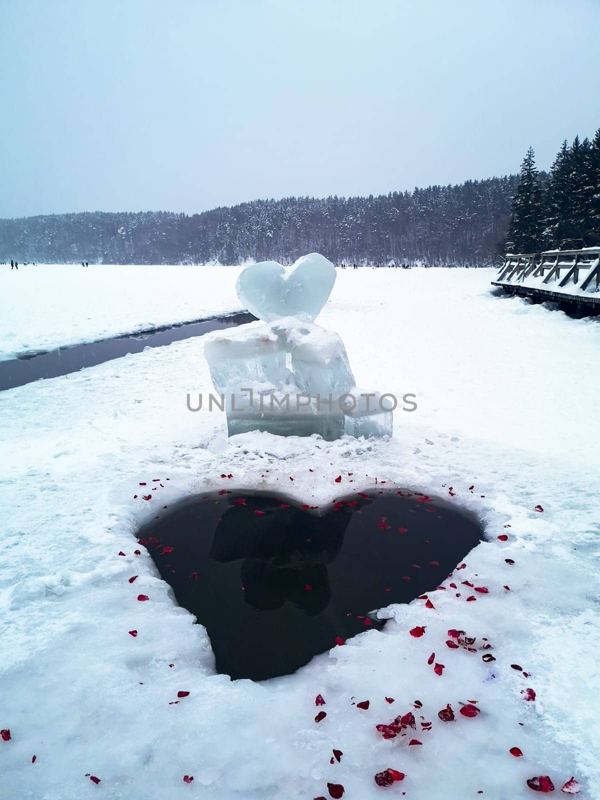 Heart-shaped hole on an ice-covered winter lake with rose petals.