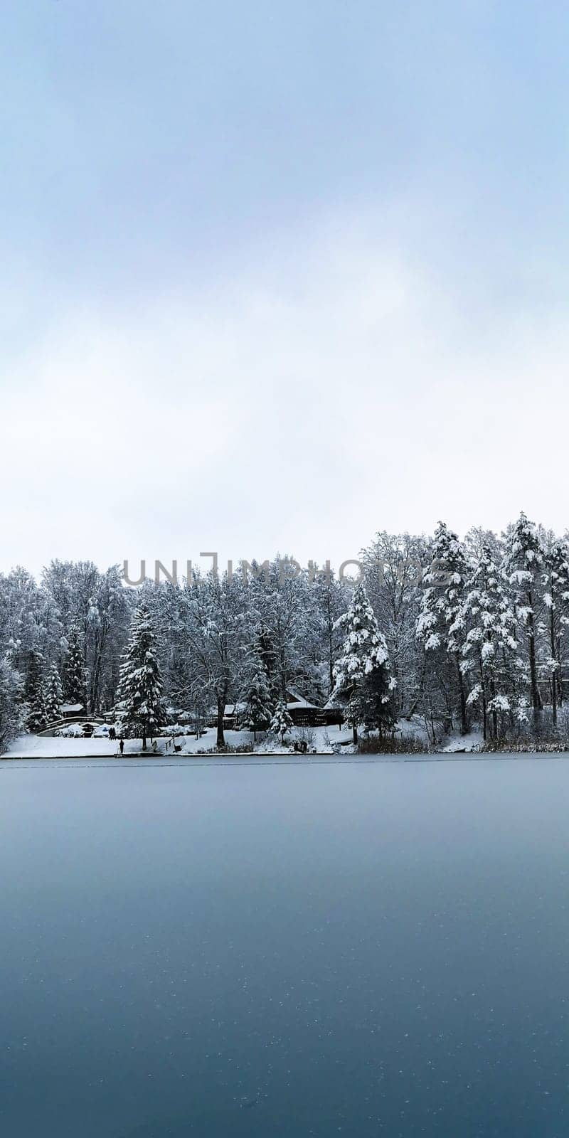 Winter landscape: ice-covered lake and snow-covered forest.