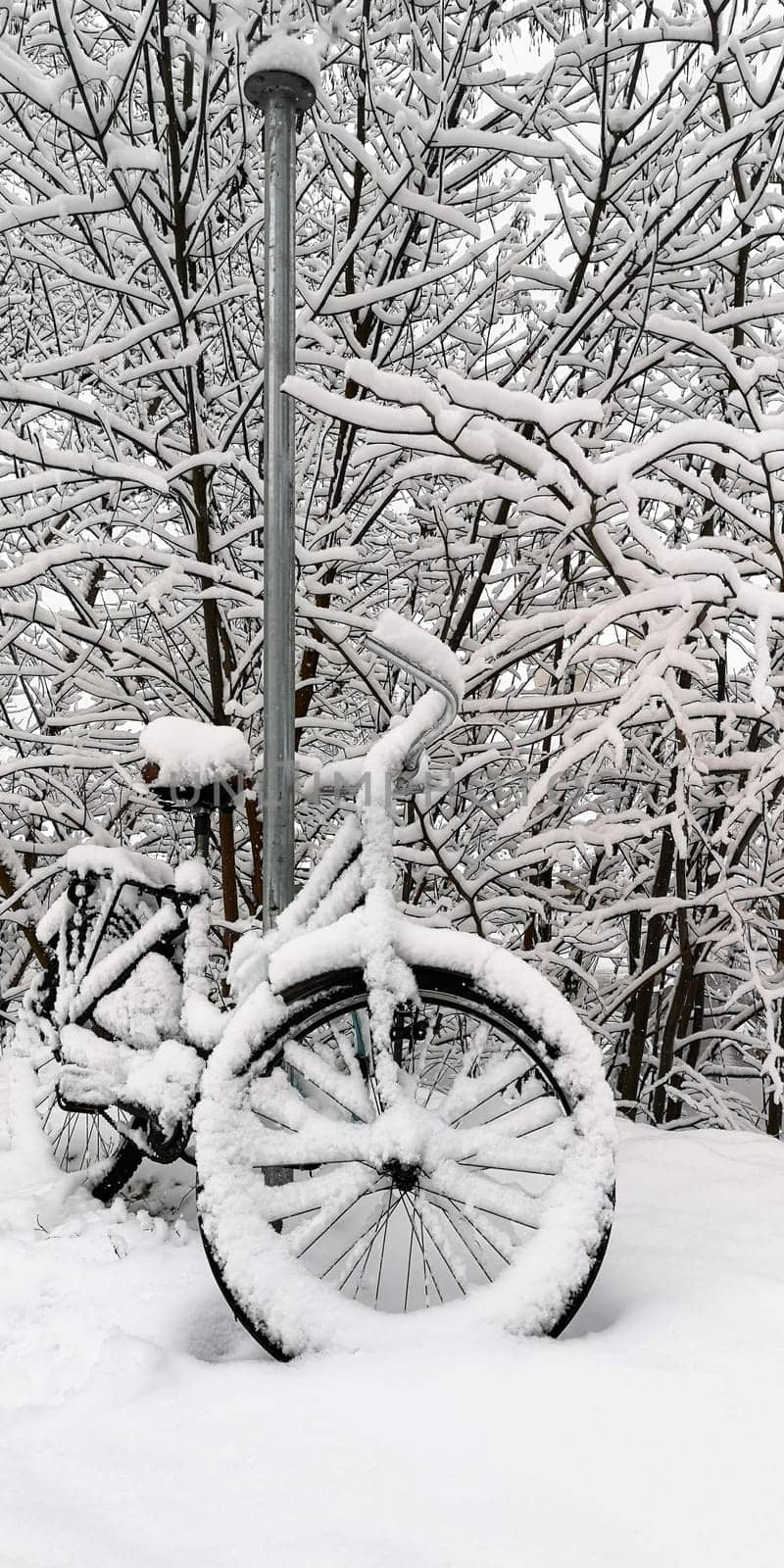 A bicycle covered with snow stands near a pole in the park in winter.