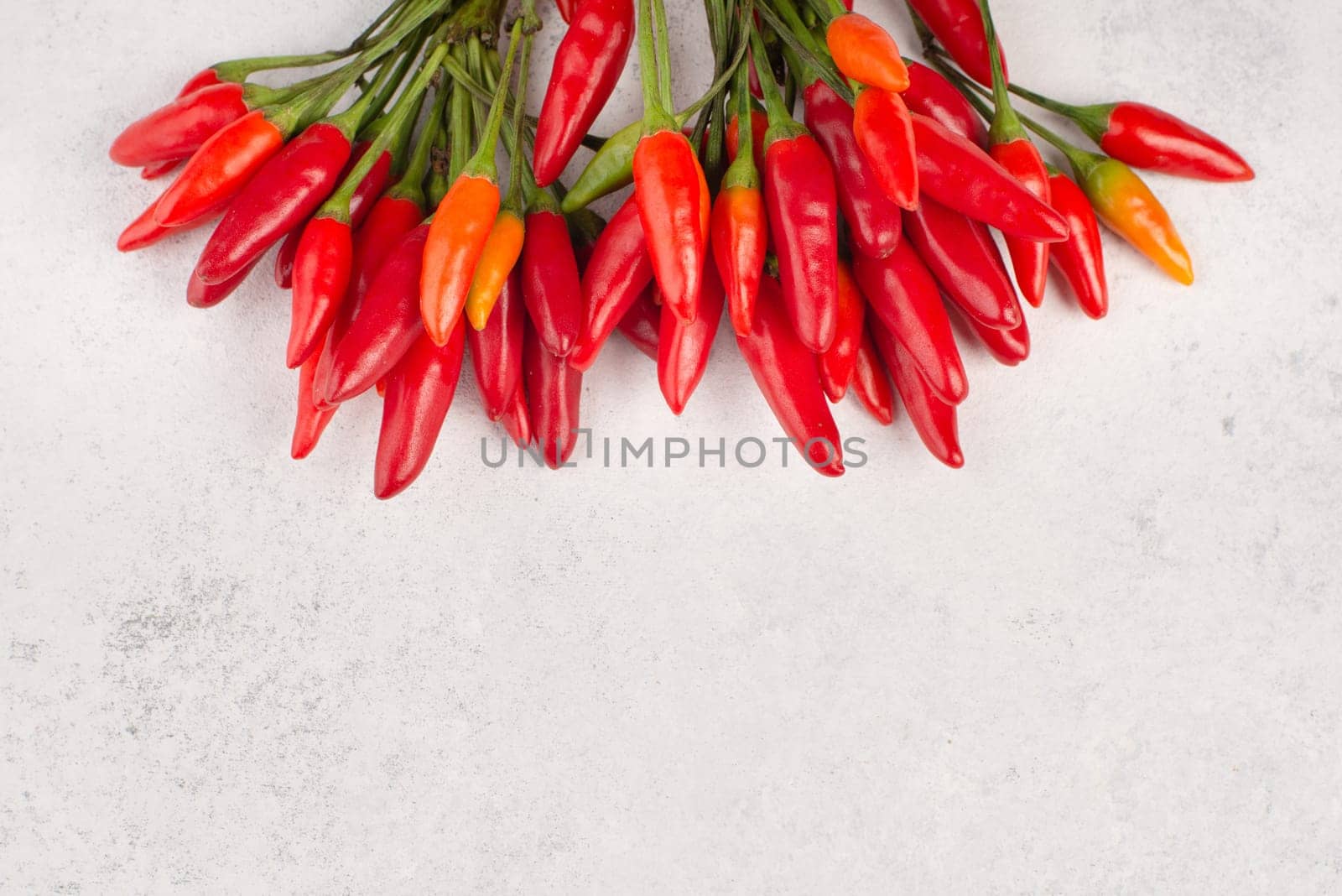 Red hot chilli pepper on a white textured background, ingredients for spicy food, copy space for text