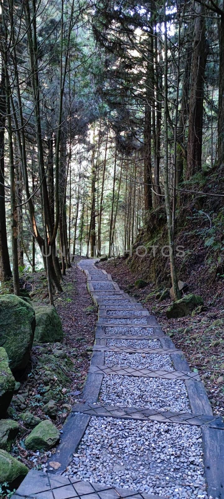 Zhushan, Nantou County - Dec 1, 2021: Shanlinxi Forest Ecological Resort features rich theme activities, seasonal flowers and rich ecology
