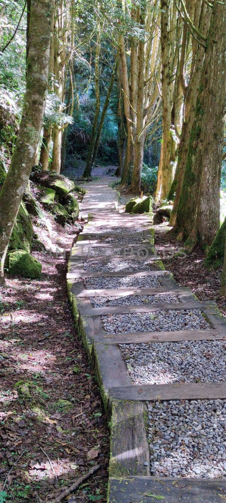 Zhushan, Nantou County - Dec 1, 2021: Shanlinxi Forest Ecological Resort features rich theme activities, seasonal flowers and rich ecology