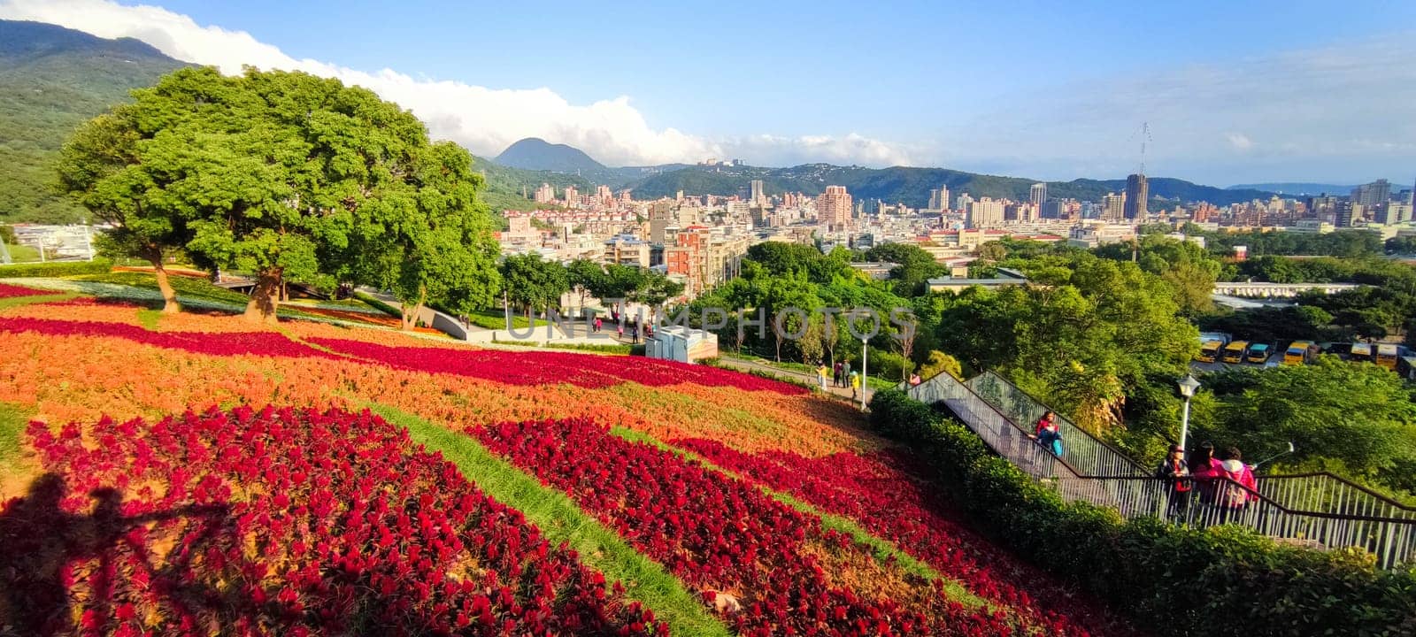 The San-Tseng-Chi Urban Park on a bright sunny day with colorful flower fields on the hillside under blue clear sky during Flower Festival, in Beitou District, Taipei City, Taiwan