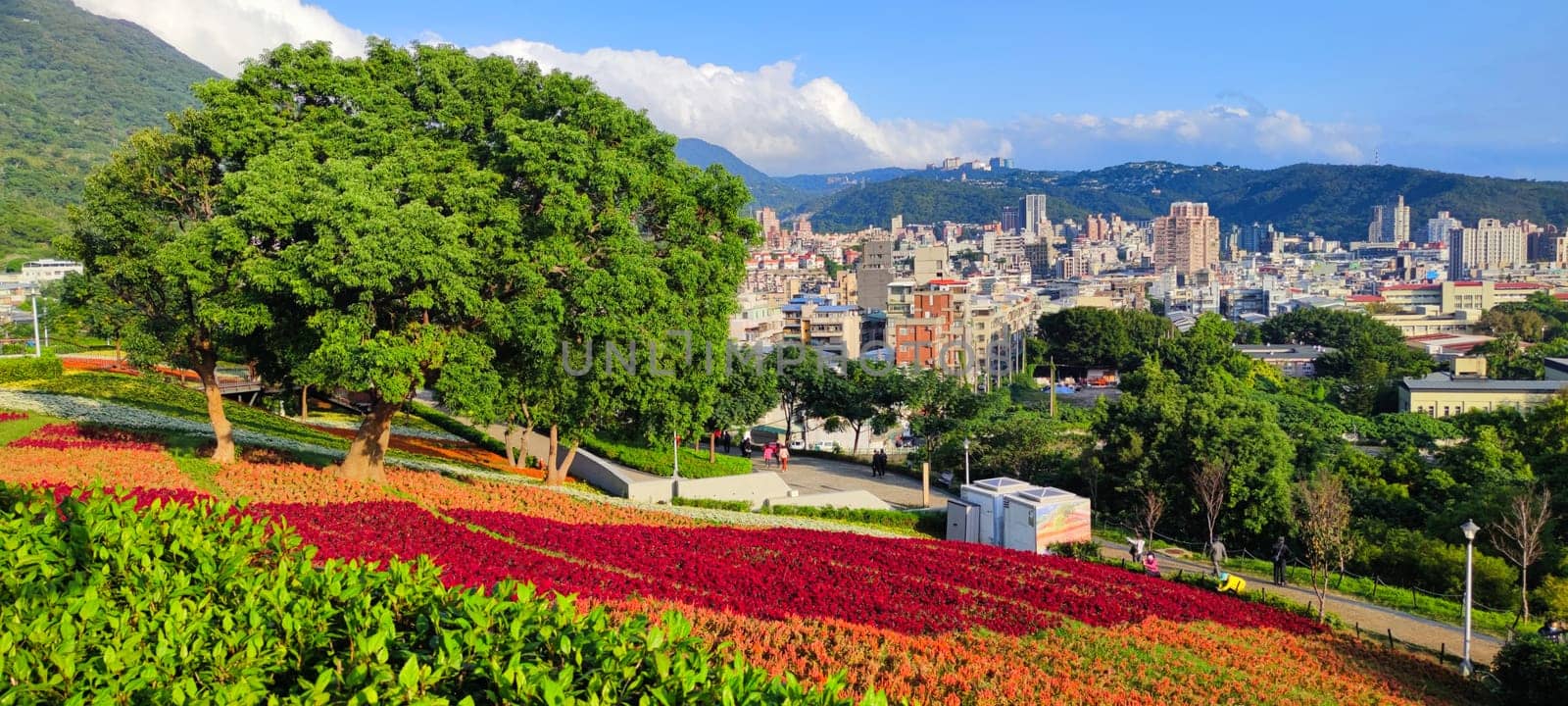 The San-Tseng-Chi Urban Park on a bright sunny day with colorful flower fields on the hillside under blue clear sky during Flower Festival, in Beitou District, Taipei City, Taiwan