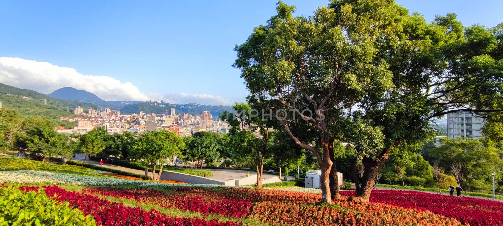 The San-Tseng-Chi Urban Park on a bright sunny day with colorful flower fields on the hillside under blue clear sky during Flower Festival, in Beitou District, Taipei City, Taiwan
