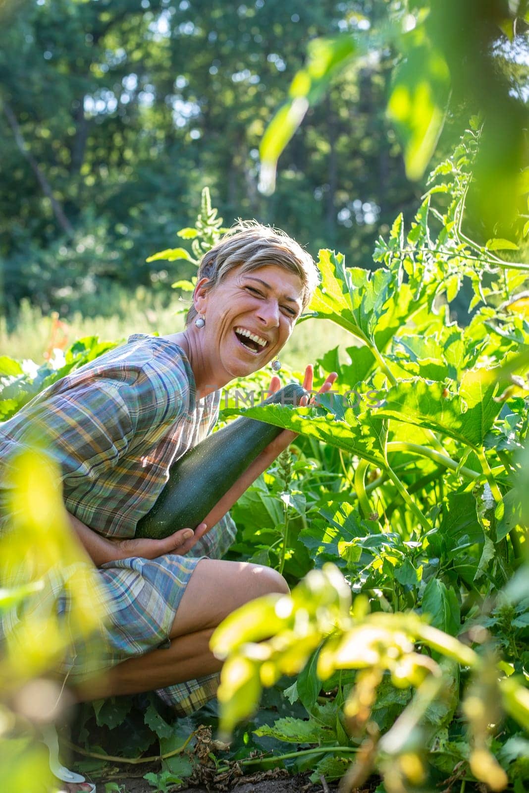woman with zucchini in the garden