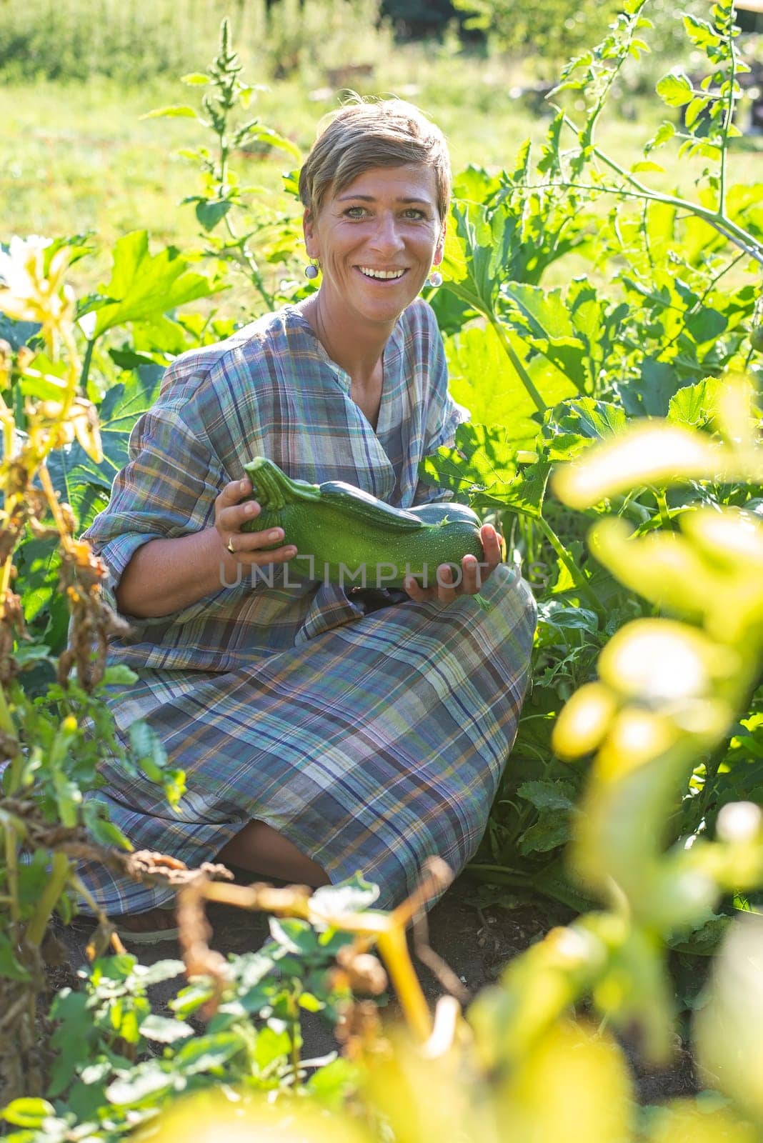 woman with zucchini in the garden