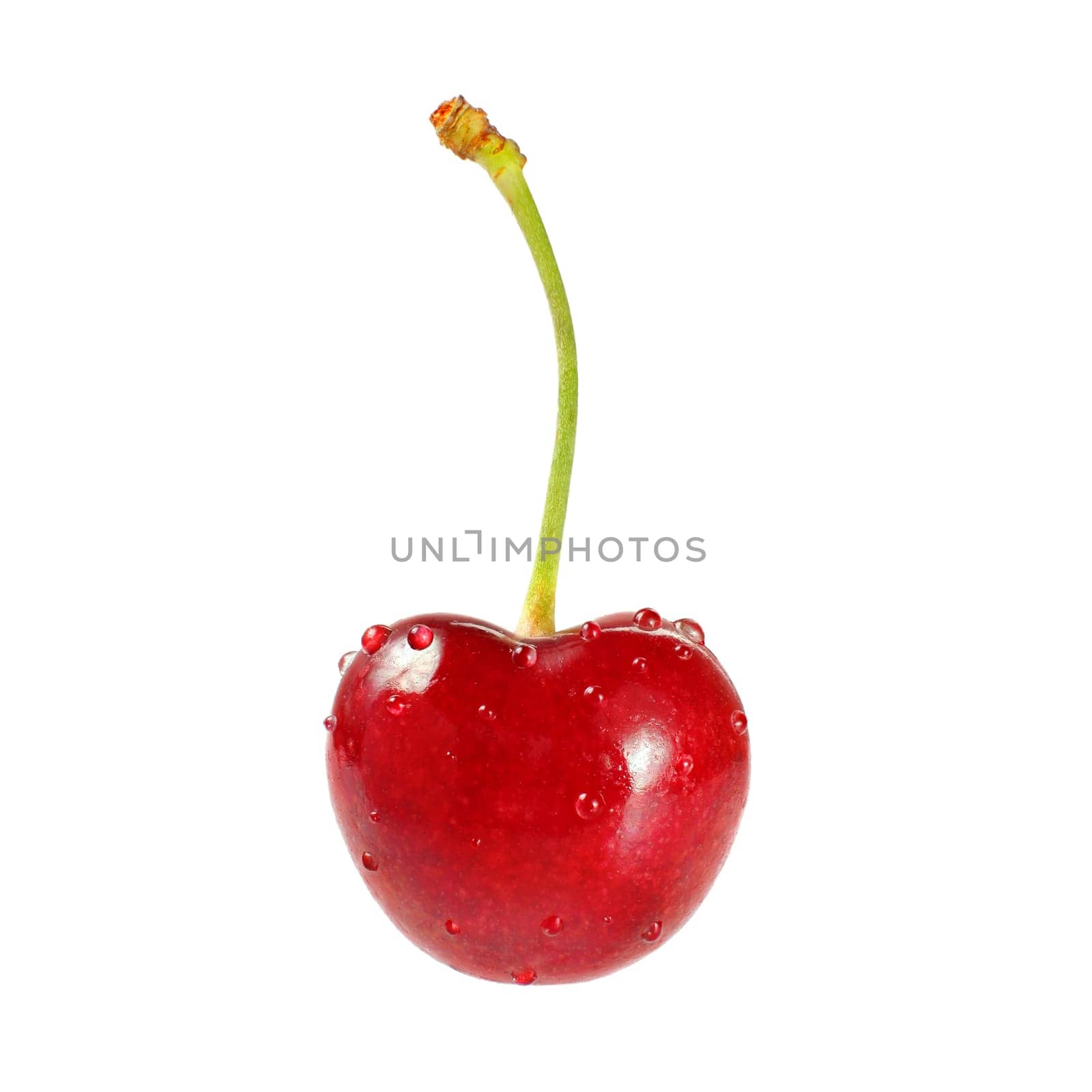 Red cherry, water drops, isolated on white.