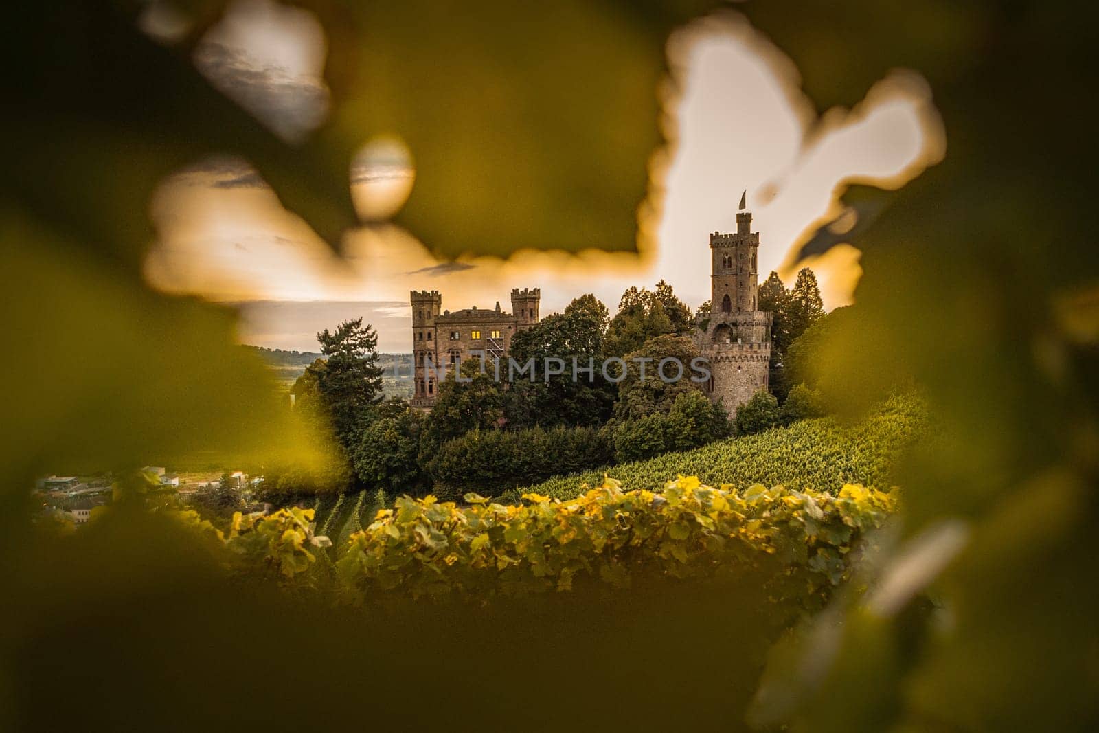 german castle framed with leaves