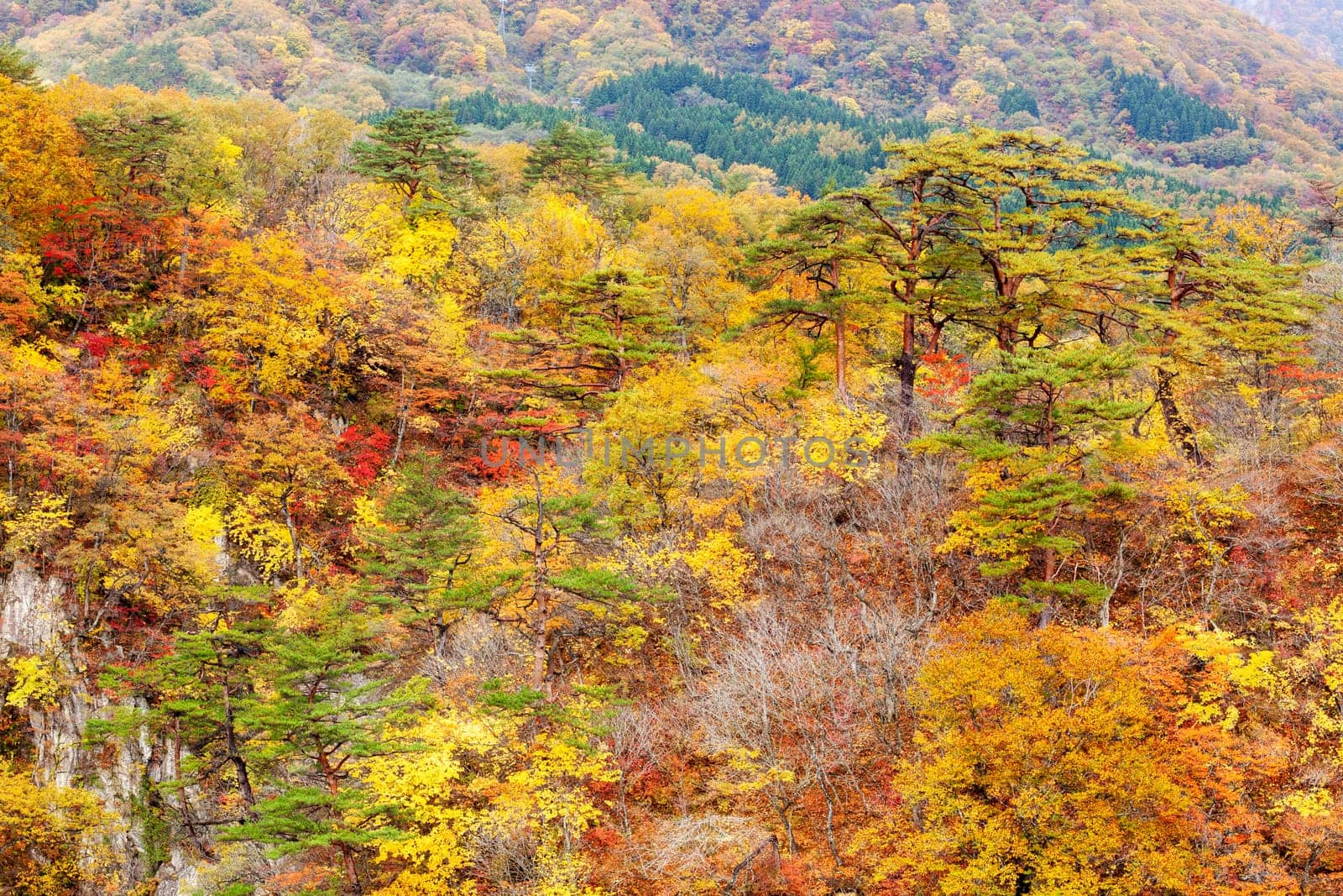 The Naruko Gorge valley with rail tunnel in Miyagi Tohoku Japan