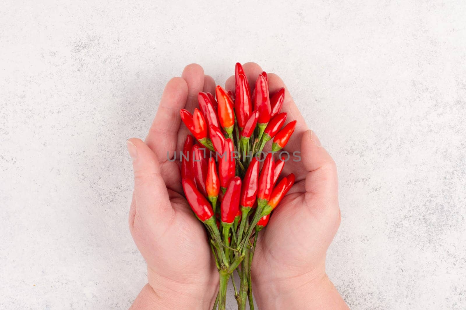 Red hot chili pepper on a white textured background, ingredients for spicy food, copy space for text