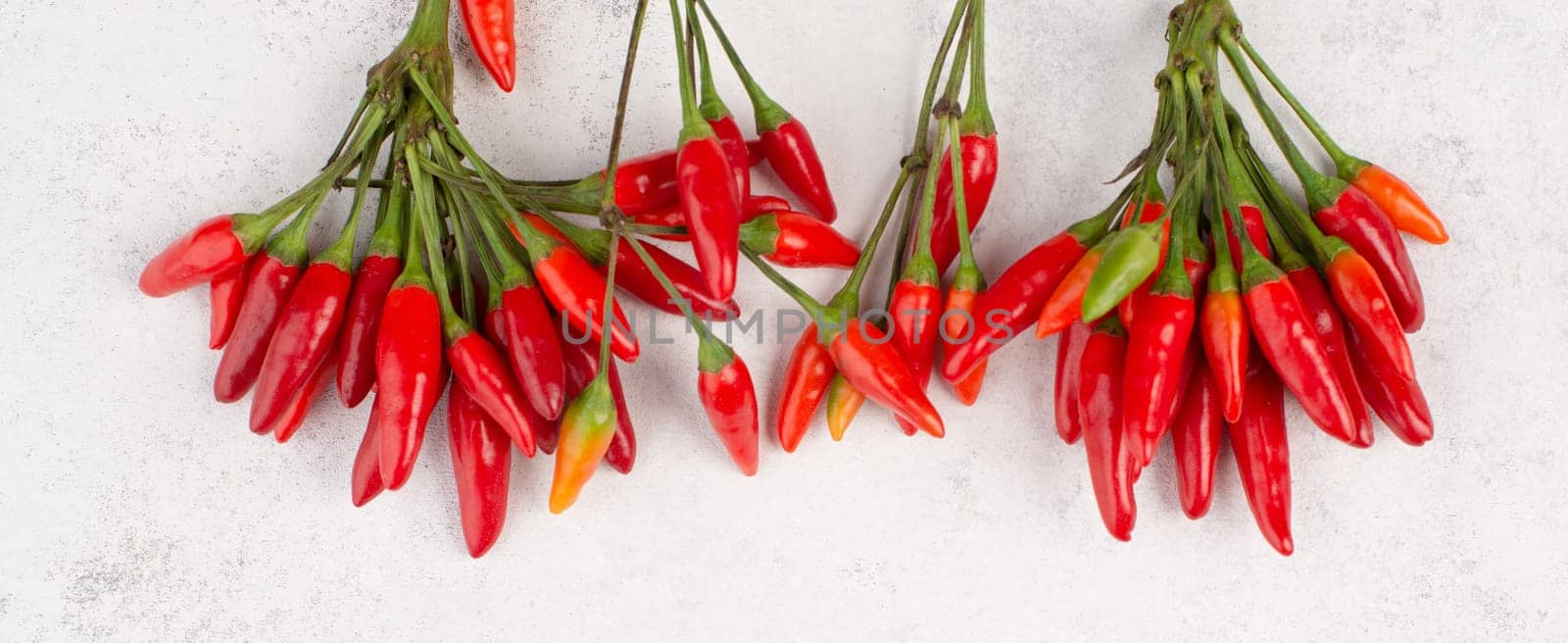 Red hot chili pepper on a white textured background, ingredients for spicy food, copy space for text