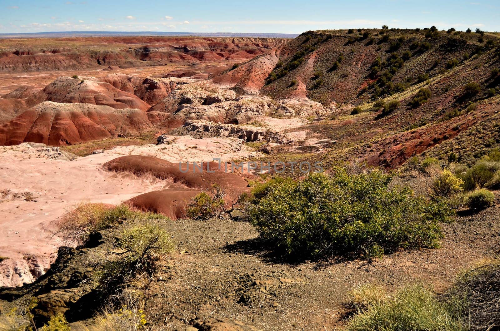 Vibrant colors of the Painted Desert in Arizona