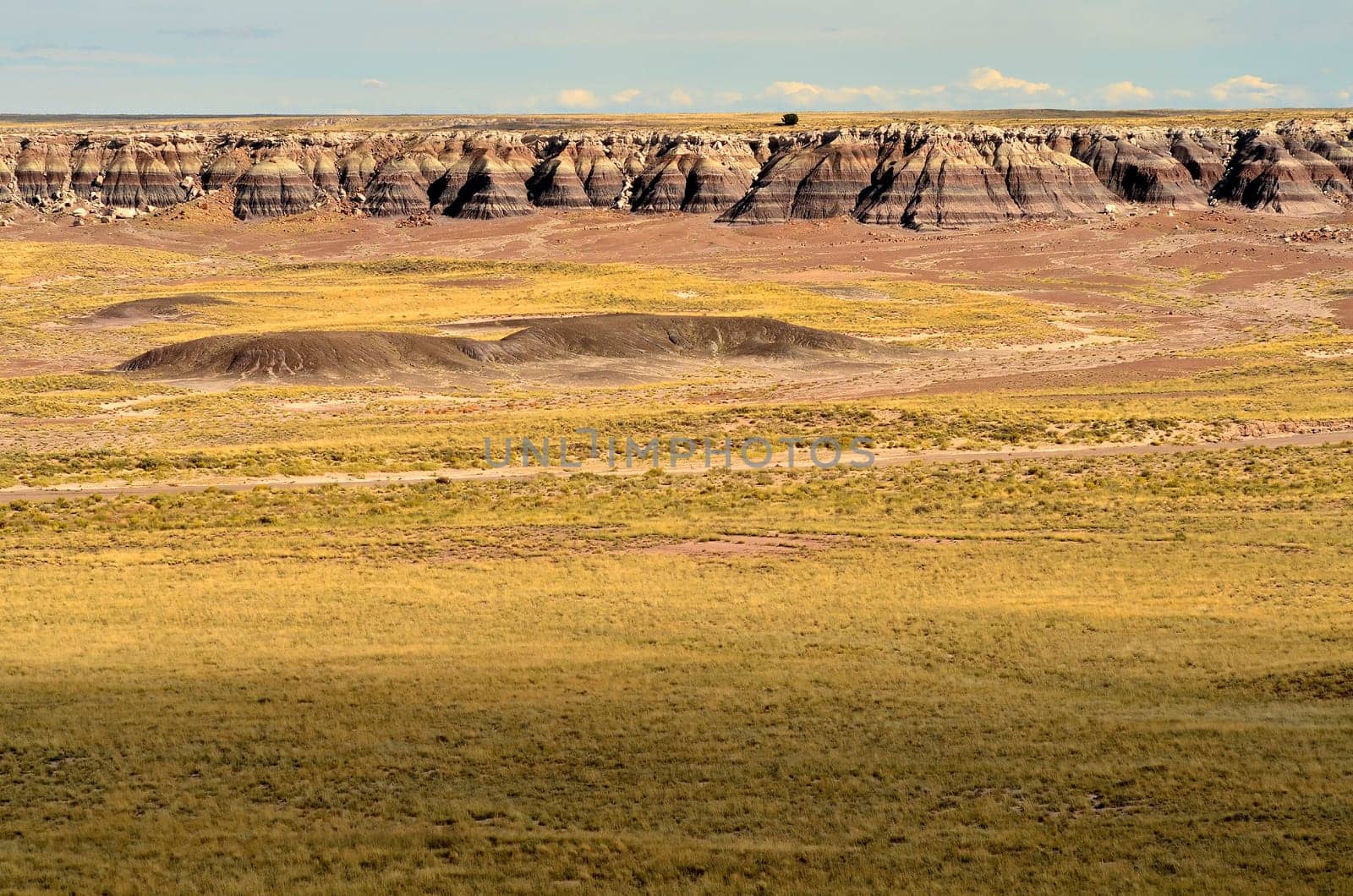 Scenic landscape of the ancient petrified forest in Arizona