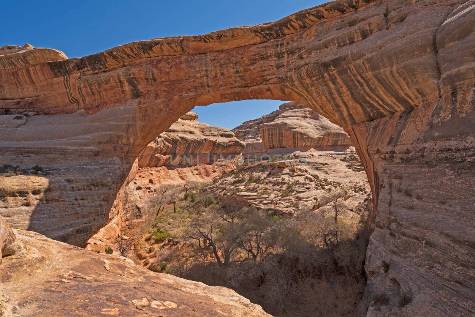 Peeking Through the Window of a Natural Bridge on the Sipapu Bridge in Natural Bridges National Park in Utah