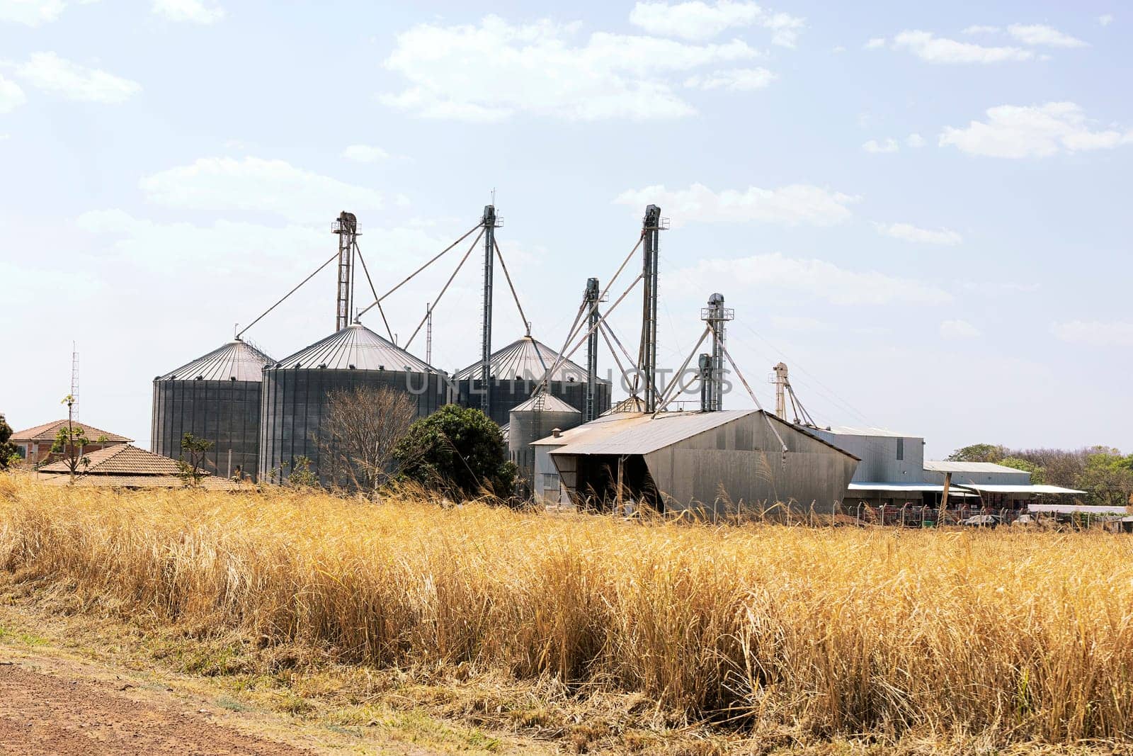 cerrado brazil dry vegetation silo industry agriculture