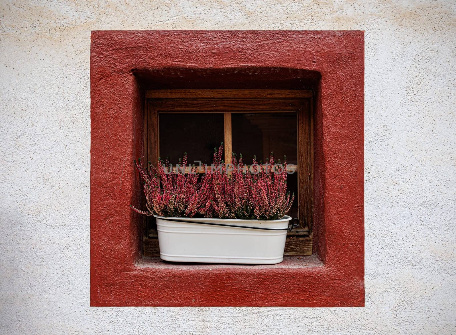 flower pot with heather in front of window