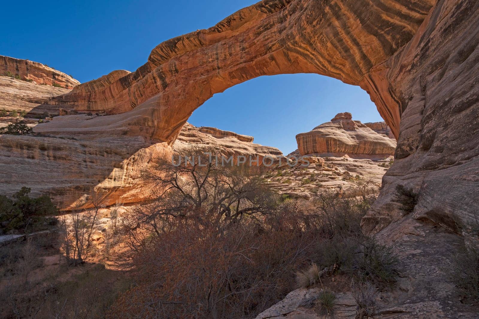 Morning Views Through a Natural Bridge at Sipapu Bridge in Natural Bridges National Monument in Utah