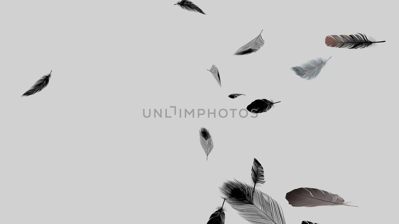 Soft silky feathers isolated on background with copy space for text and advertisement. Feather background with delicate fur and realistic looks. 3D rendering