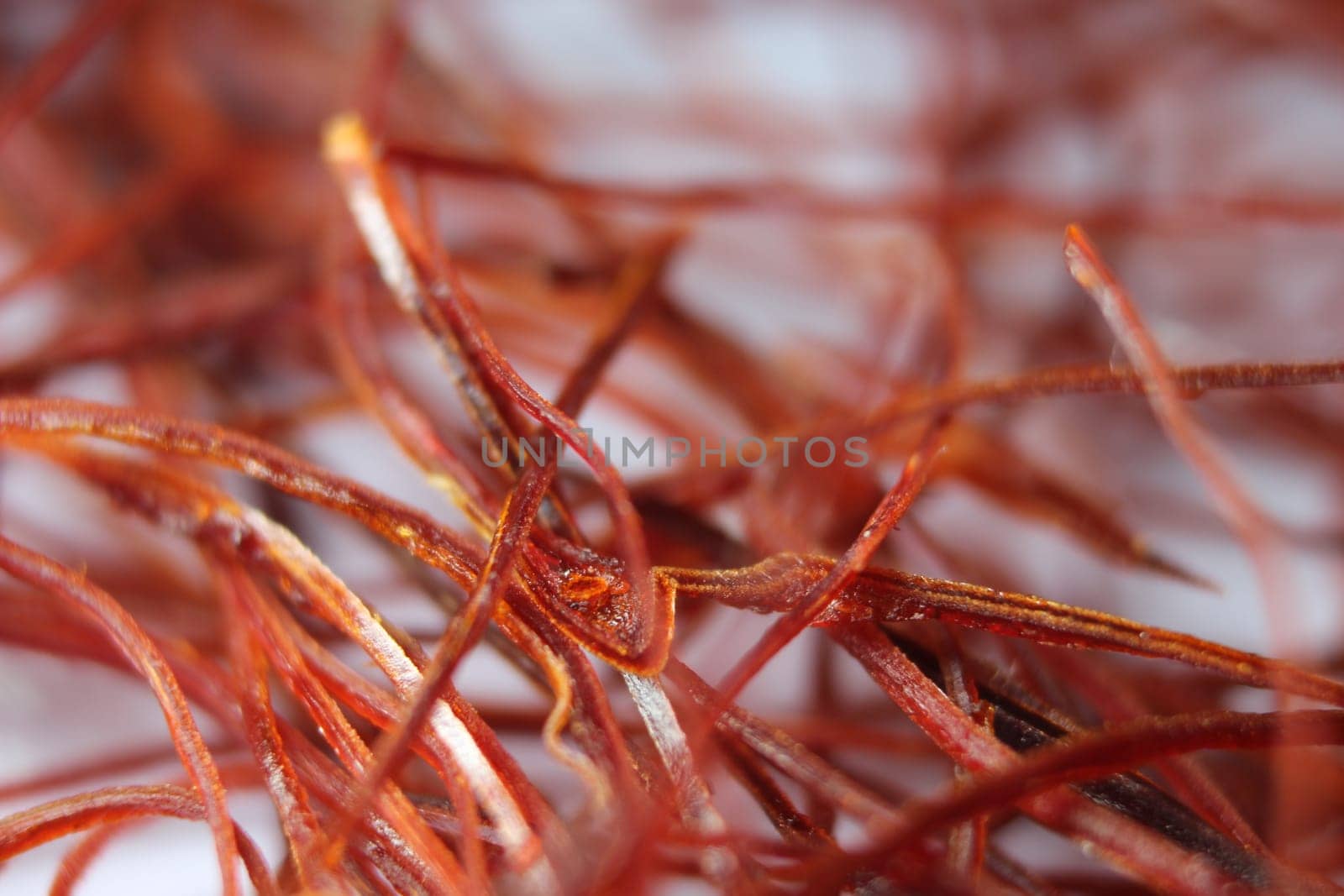 Macro photograph view of saffron with selective focus. Crocus sativus, commonly known as the "saffron crocus"""