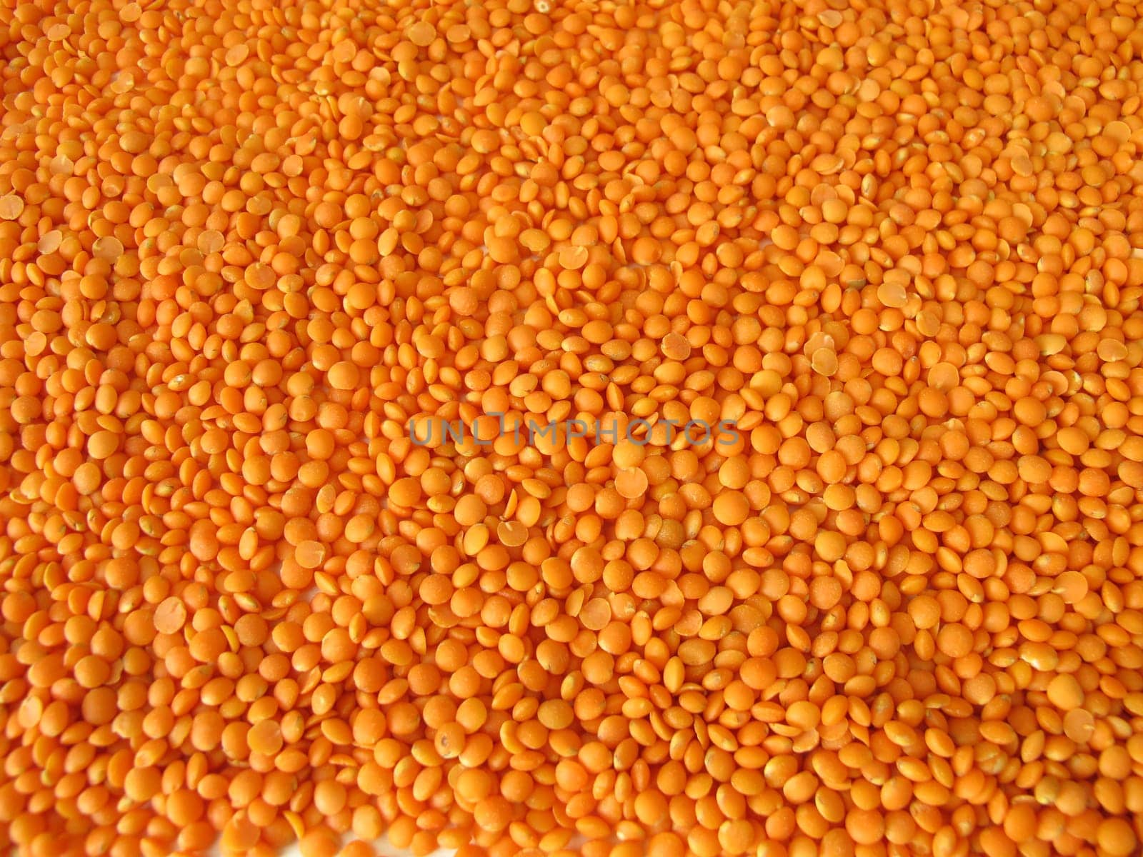 Red lentils distributed flatly on a wooden board