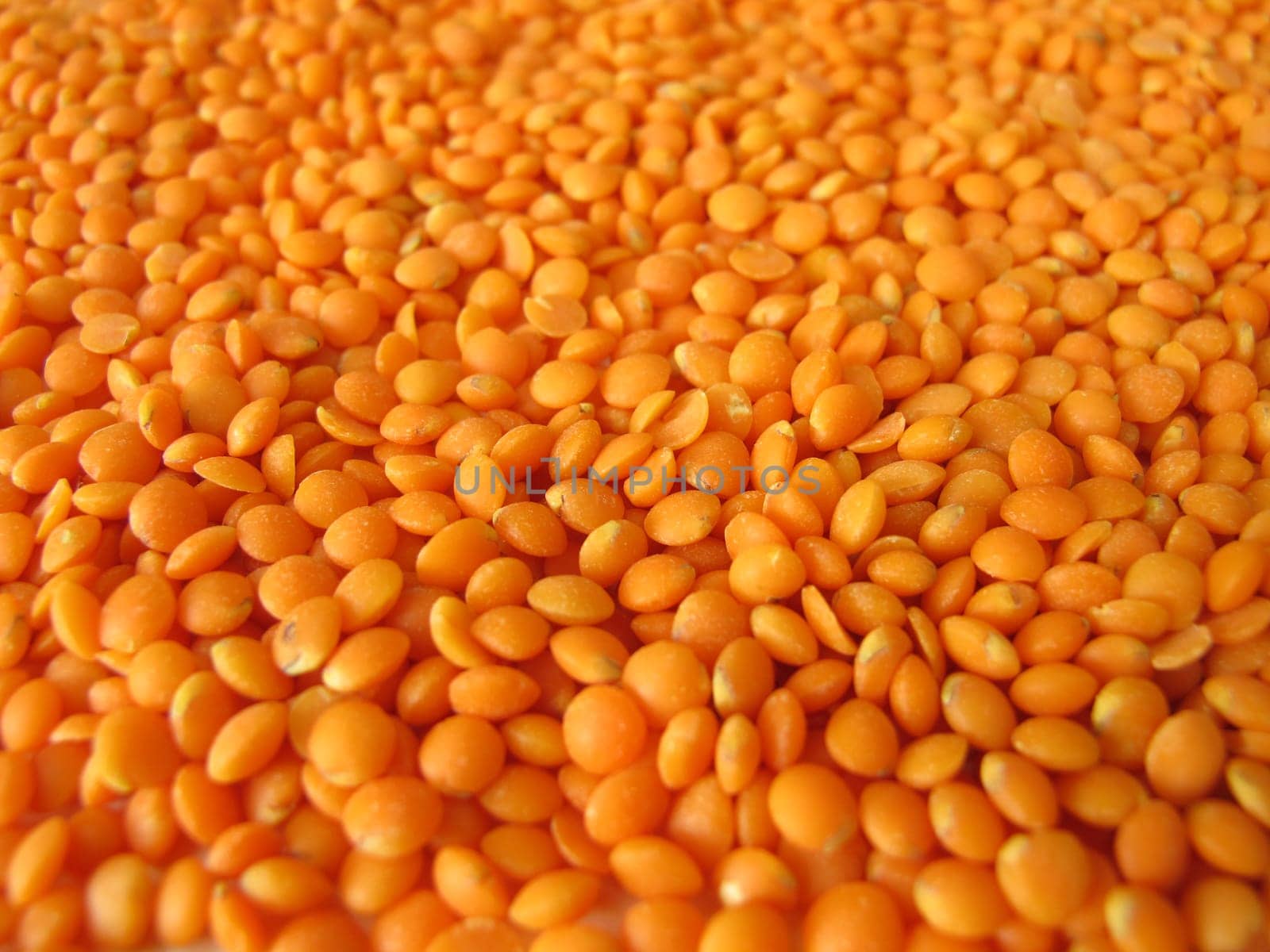 Red lentils distributed flatly on a wooden board