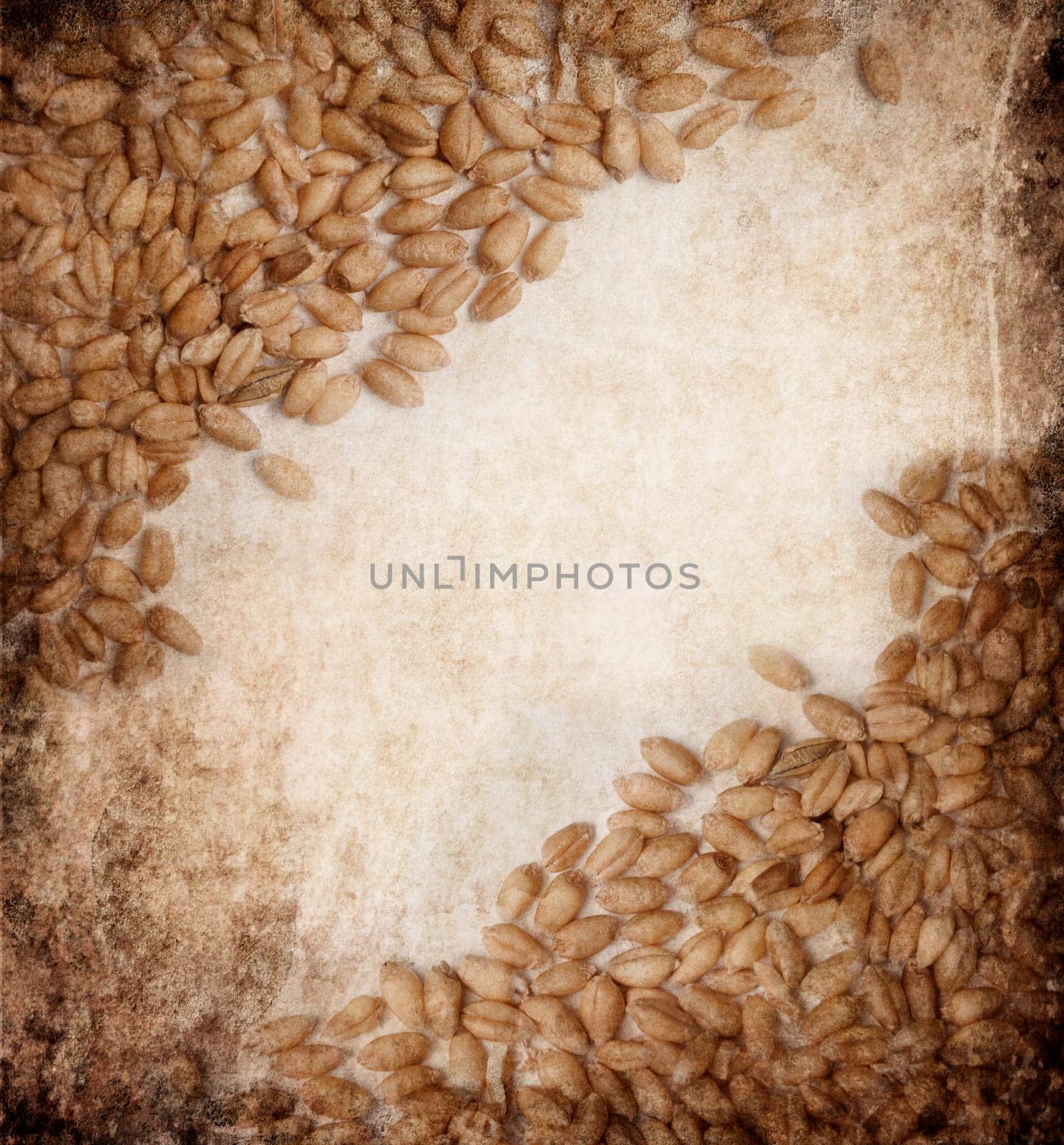 Wheat frame on grungy textured background