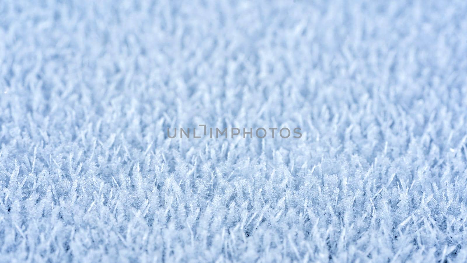 A close-up of ice chrysals outside on a cold winter day