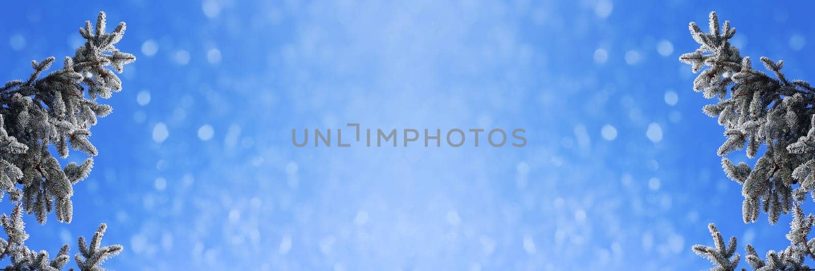 Christmas background fir branches with snowflakes against blue sky