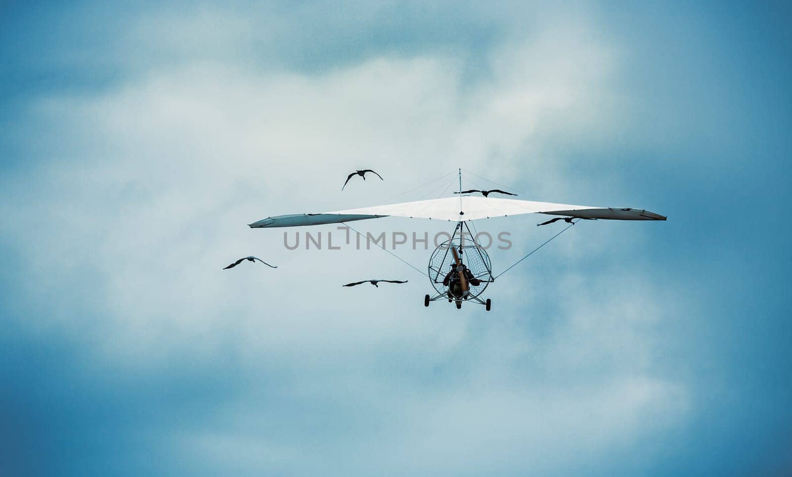 Microlight flying across a blue cloudy sky and surrounded by cranes