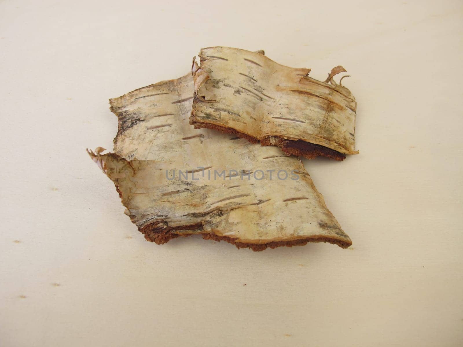 Birch bark - bark pieces from birch tree