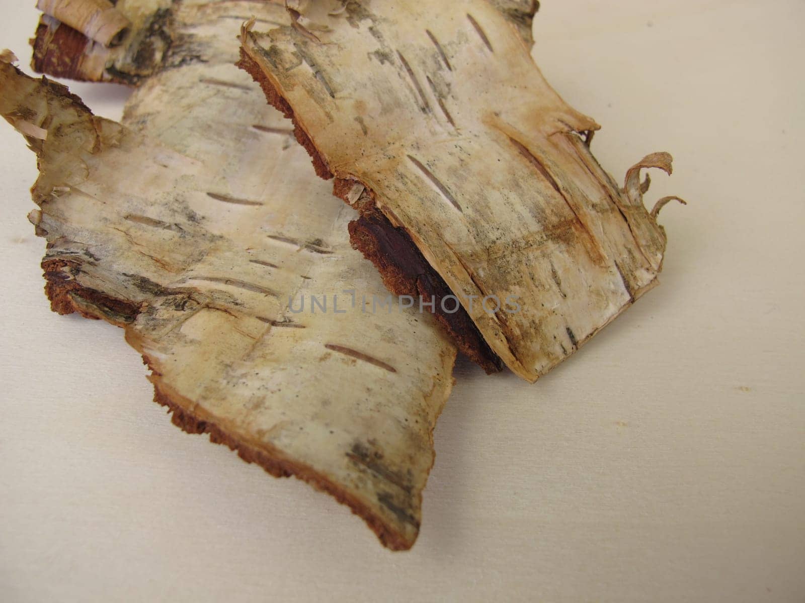 Birch bark - bark pieces from birch tree
