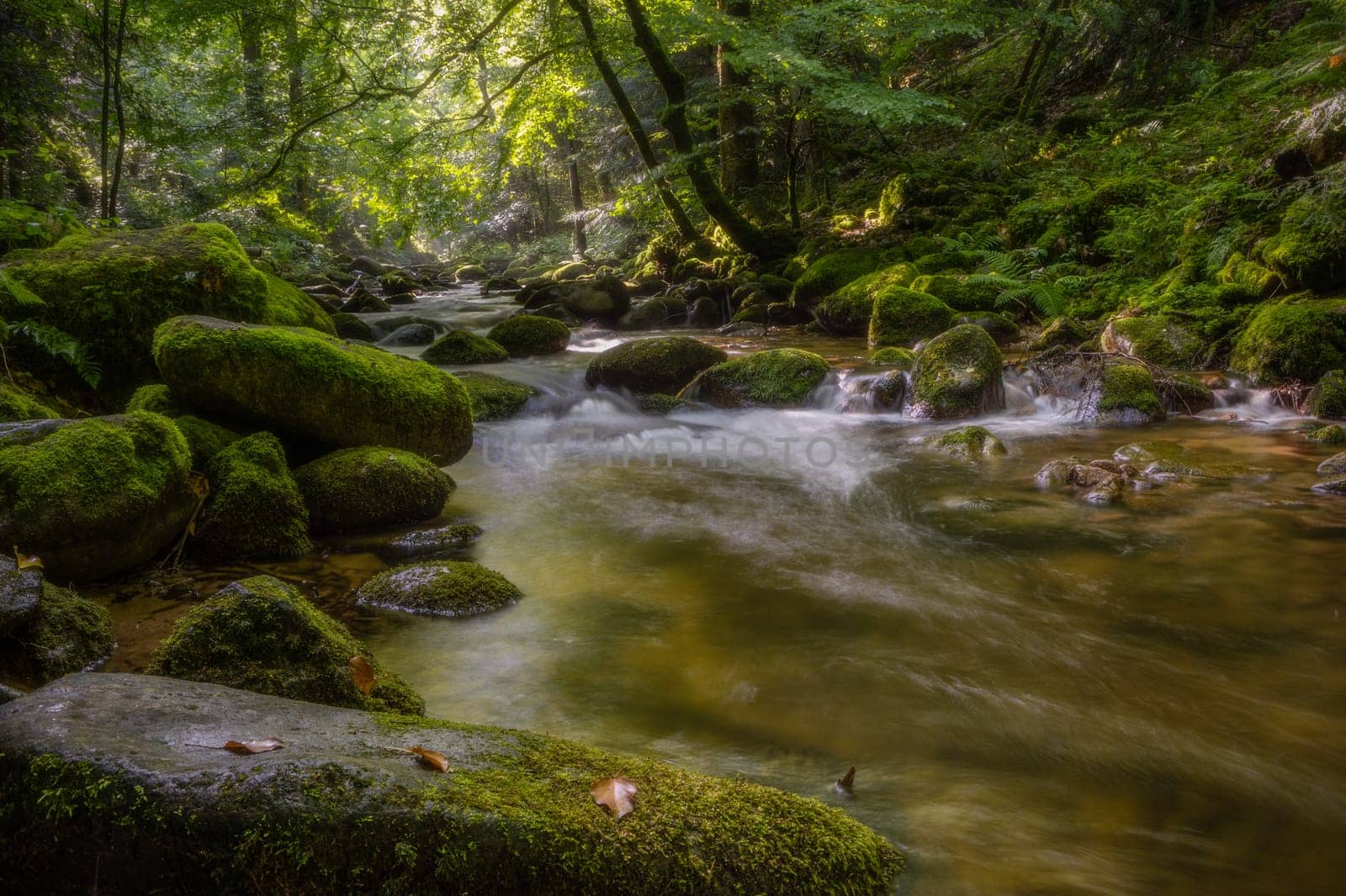 waterfall in germany with long exposure in summer