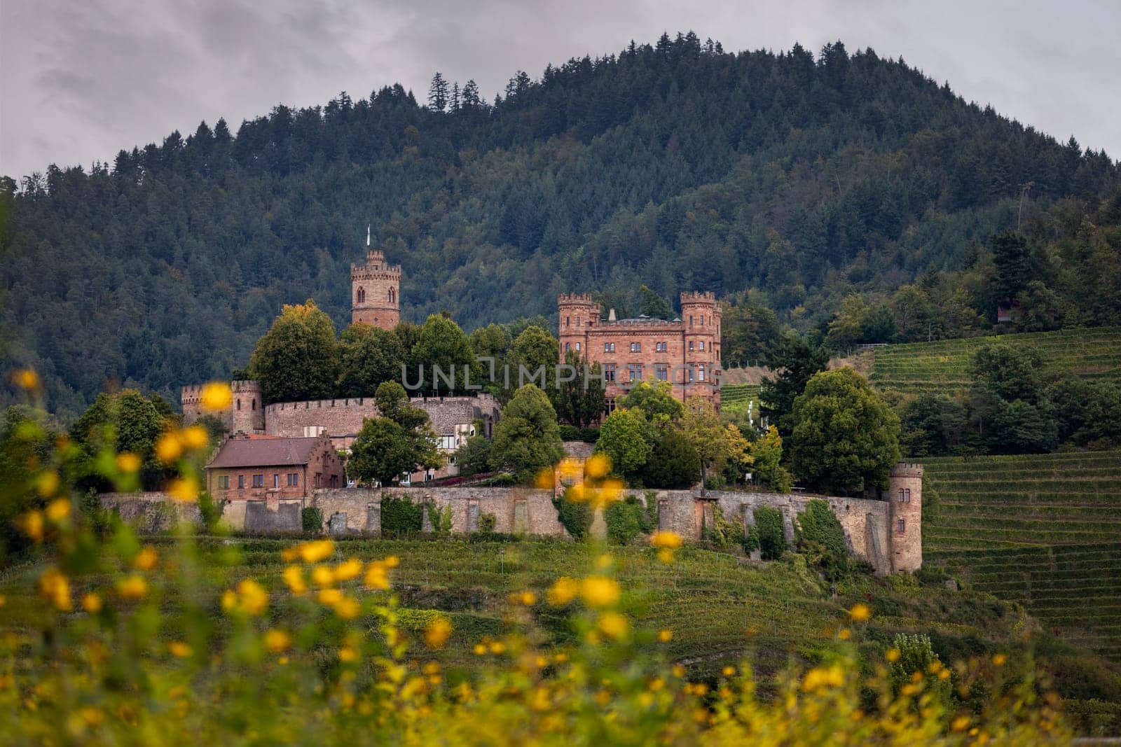 german castle with flowers in foreground and black forest in background
