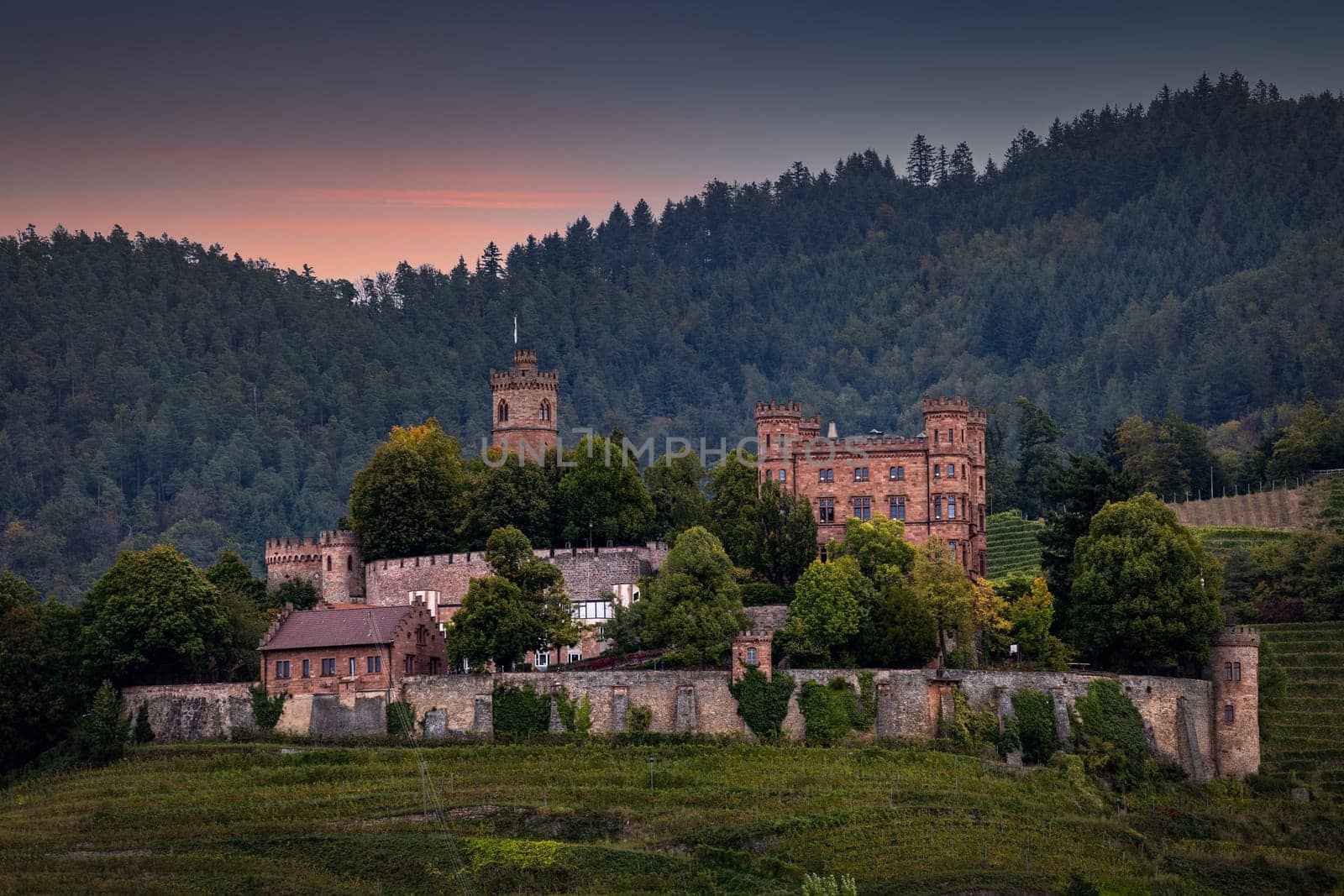 german castle in vineyard