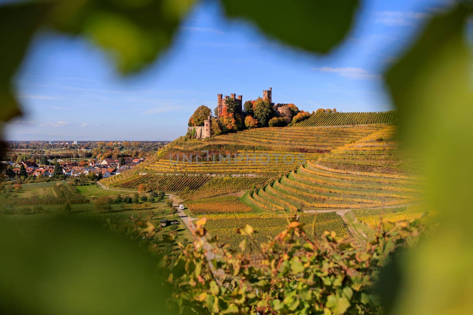 german castle framed in leaves and autumn around