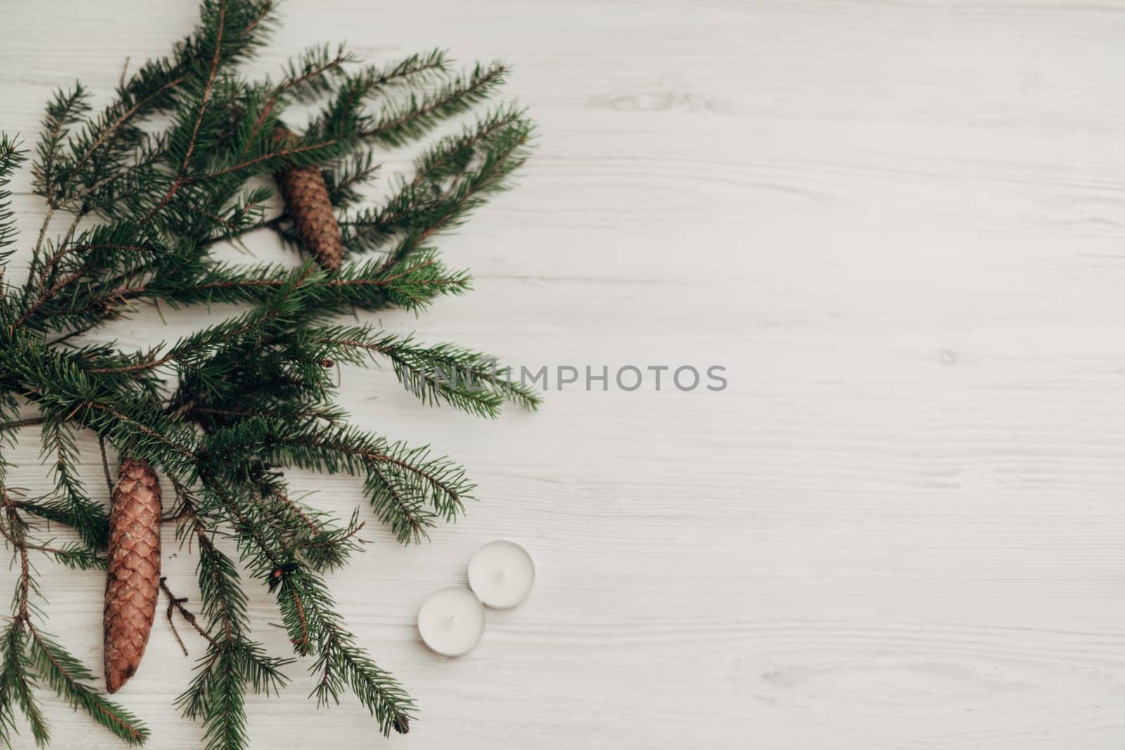 Decoration of Christmas Tree Green Branches on a White Background with Copy Space