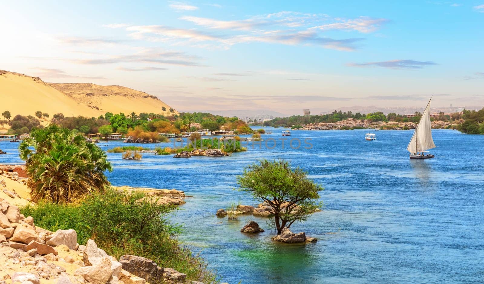 Nile riverbank near Aswan, Upper Egypt.